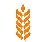 麦穗 矢量