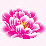 无框画牡丹高清晰