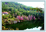 蕉岭风光