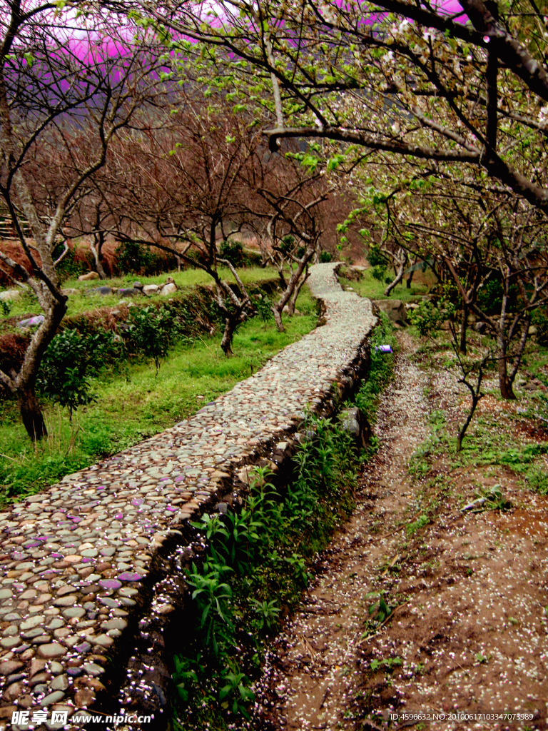 小路