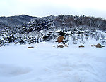 雪景