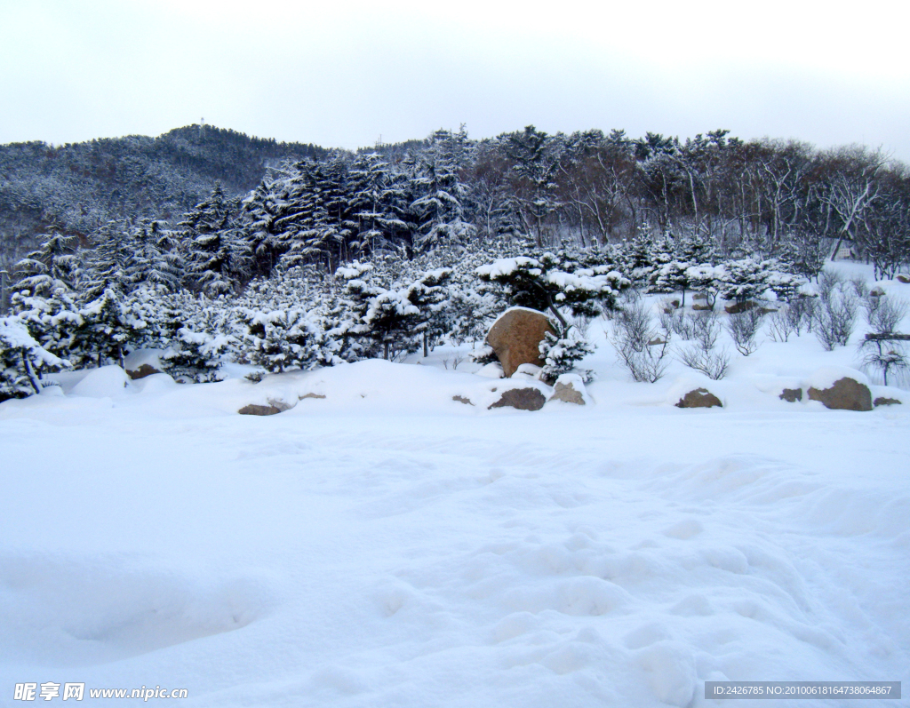 雪景