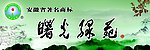 茶文化