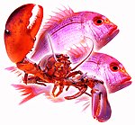 鱼龙虾