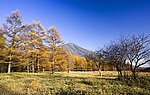 晚秋的原野