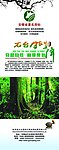 易拉宝