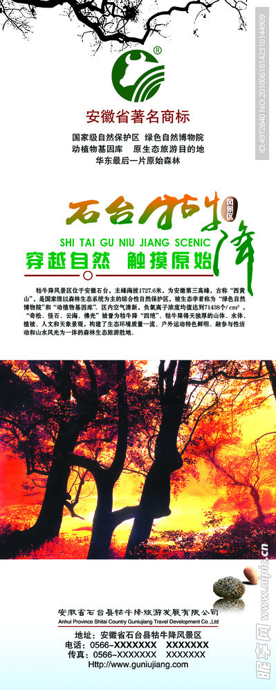 易拉宝