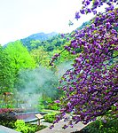 联华风景·黄山温泉风景区