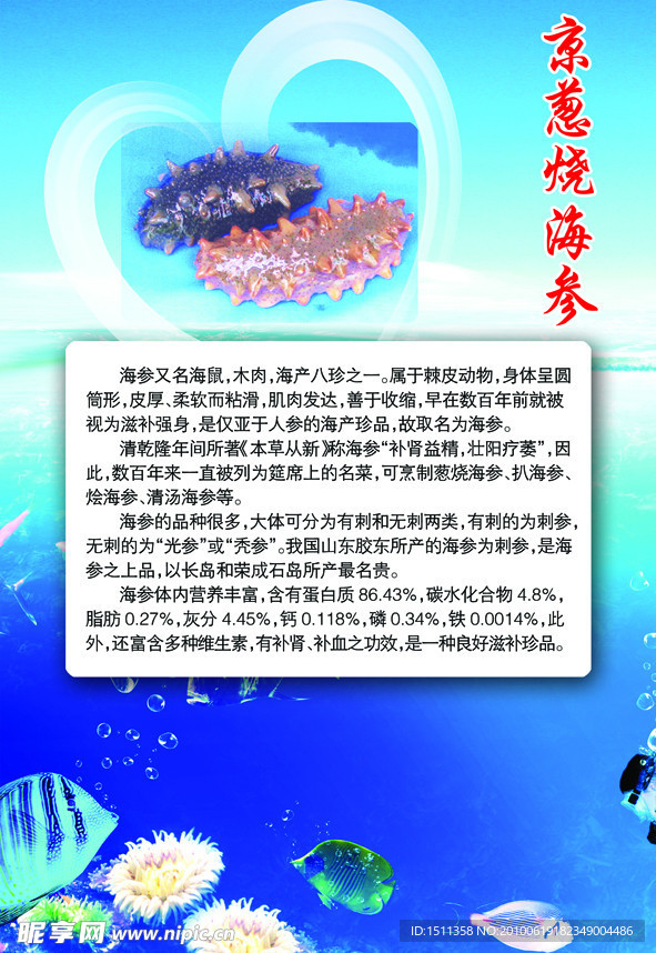 海参