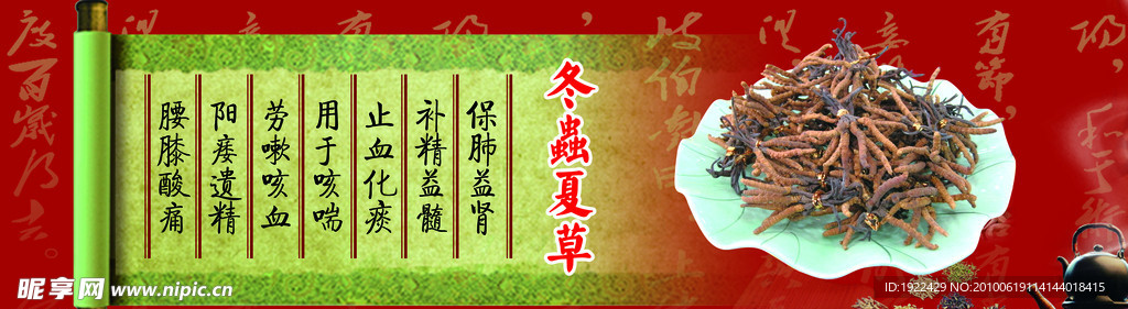 冬虫夏草