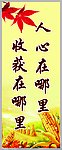 收获