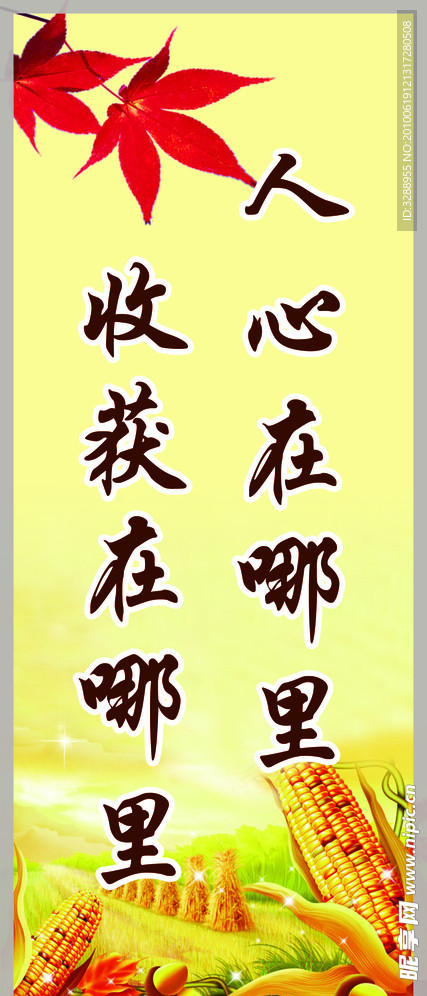 收获