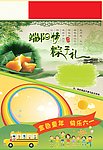 端午节 彩页