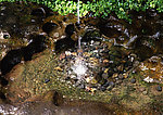 清澈山水