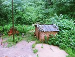 树林小屋
