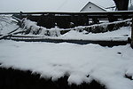 雪景