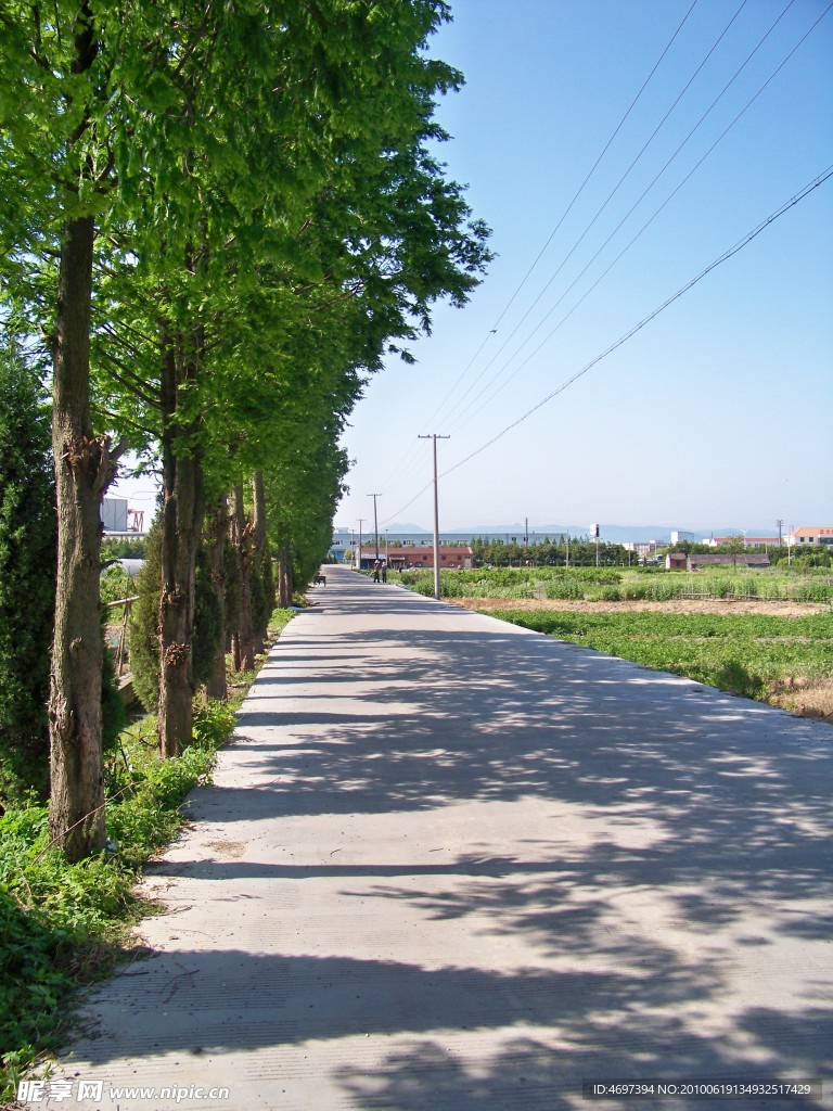 田园小路