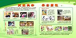 安全自救
