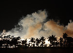 椰树与烟雾