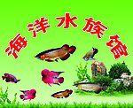 海洋水族馆