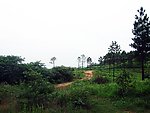 远方的路