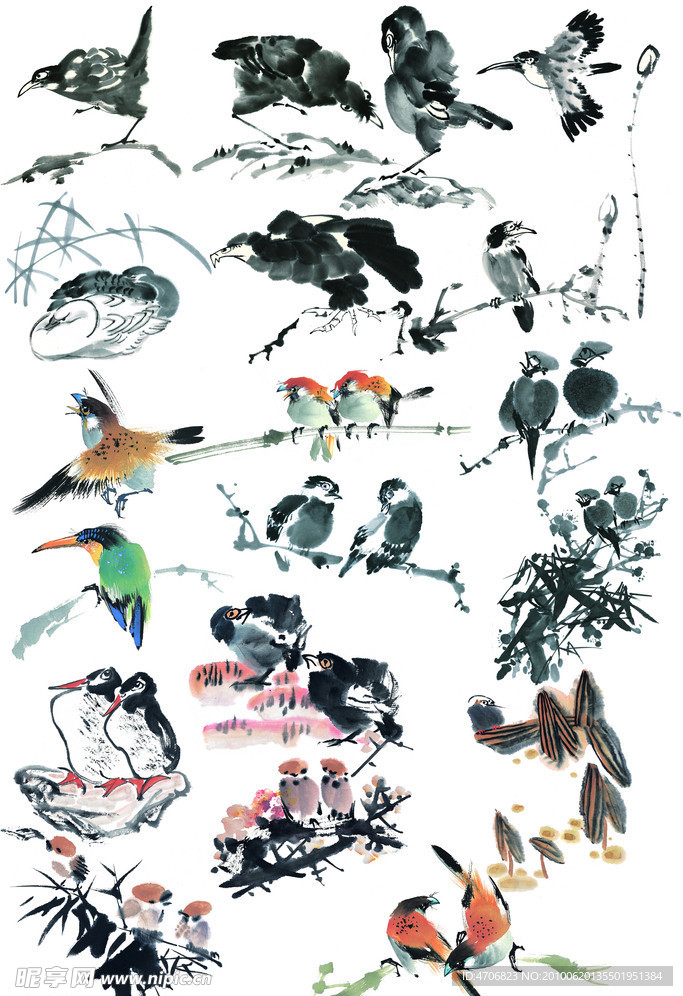 花鸟
