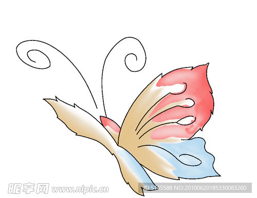蝴蝶