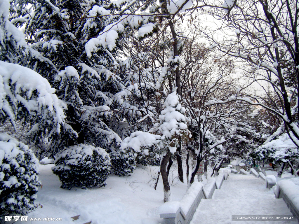 公园雪景