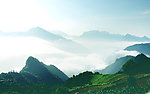 雾掩山岚