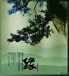 养生文化