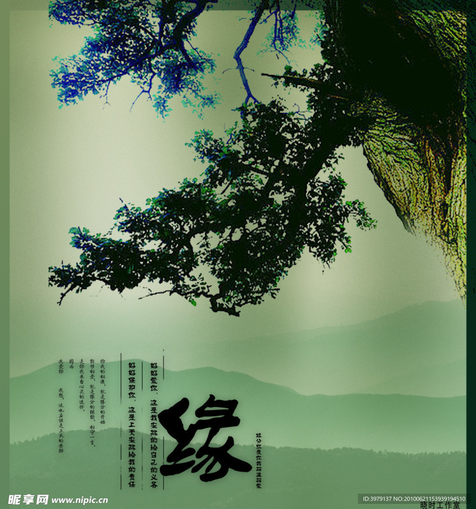 养生文化