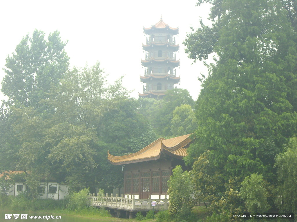 雾中风景