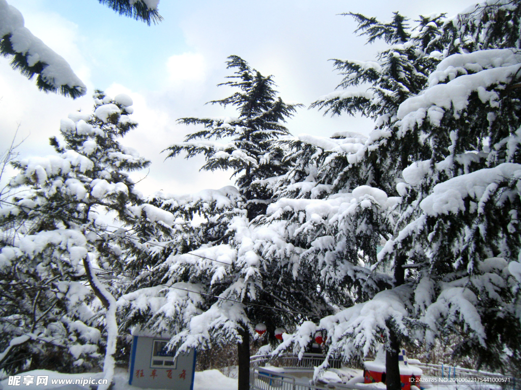 雪景