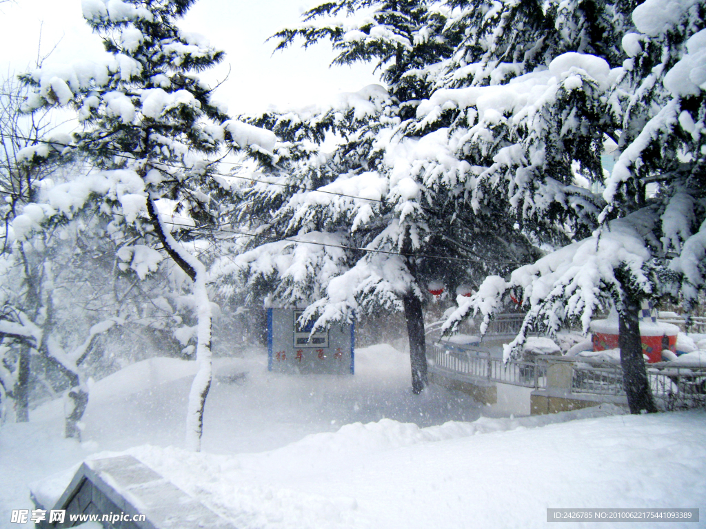 雪景