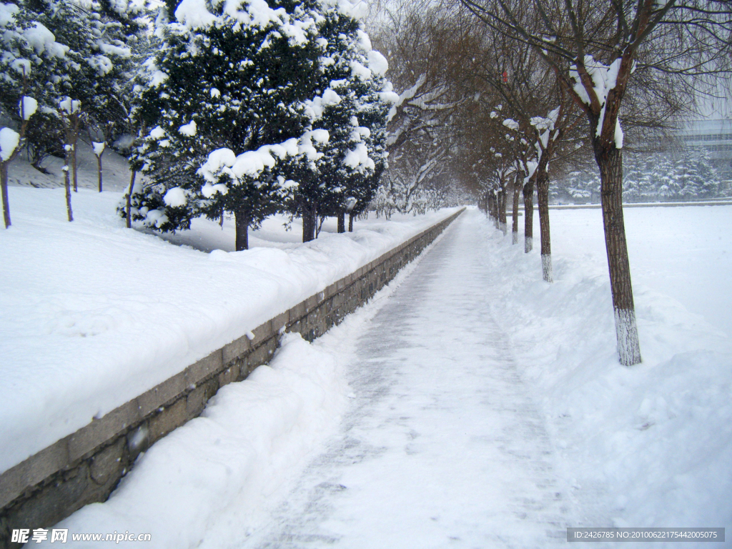 雪景