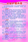 分级护理内容