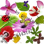 花草虫大集合