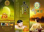 养生经典
