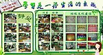 校园展版