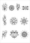 花纹