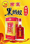 黑蚂蚁养生酒