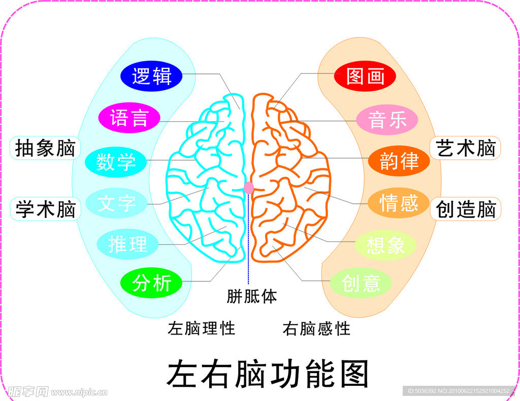 左右脑功能图