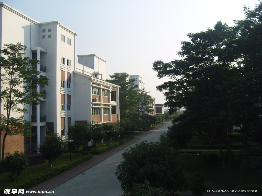 学校 华师大 嘉玛学校 嘉玛 校园 文化建设