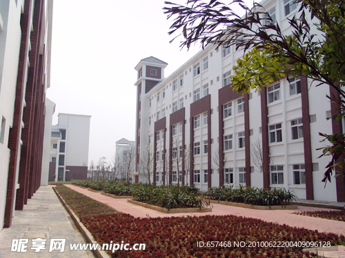 学校 华师大 嘉玛学校 嘉玛 校园 文化建设
