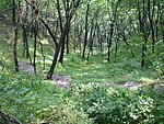 鹤半山风景