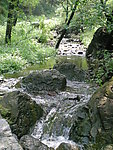 鹤半山风景