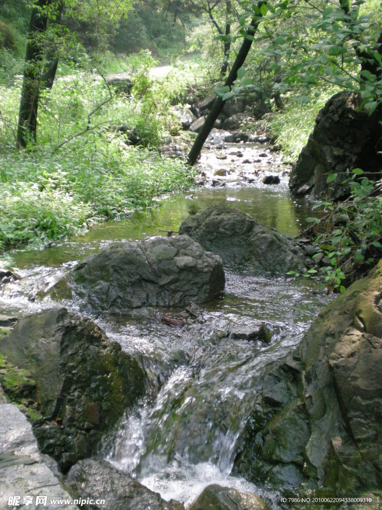 鹤半山风景