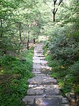 鹤半山风景