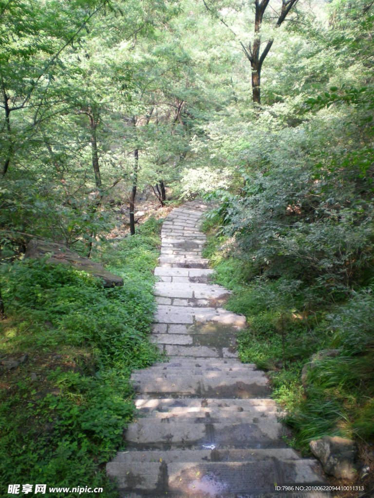 鹤半山风景