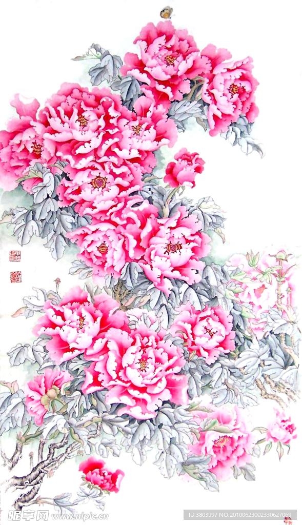 牡丹